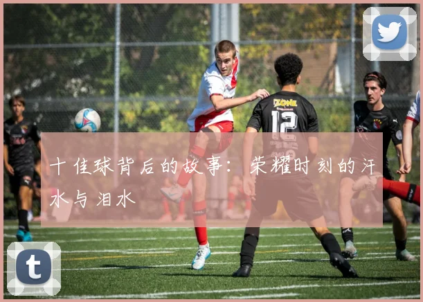 十佳球背后的故事：荣耀时刻的汗水与泪水
