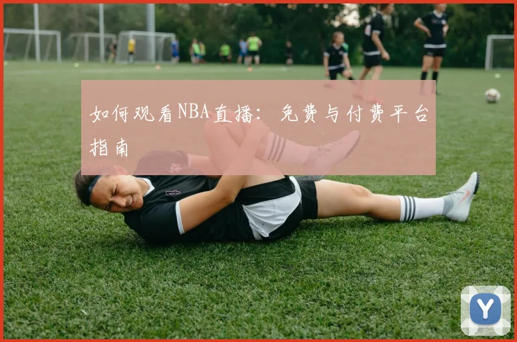 如何观看NBA直播：免费与付费平台指南