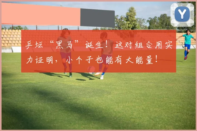 乒坛“黑马”诞生！这对组合用实力证明，小个子也能有大能量！