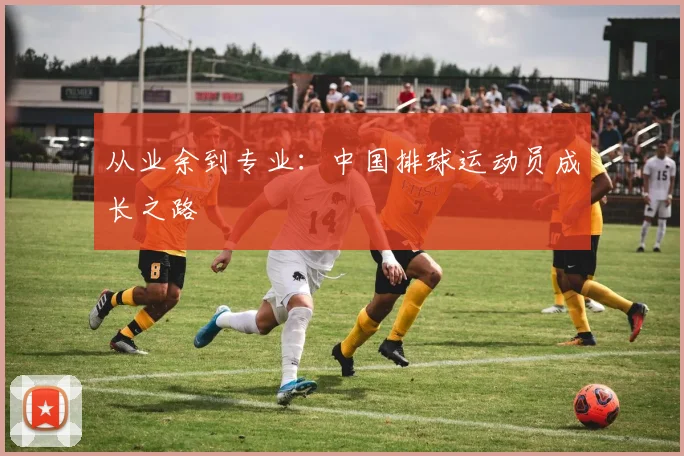 从业余到专业：中国排球运动员成长之路