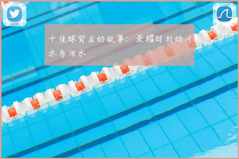 十佳球背后的故事：荣耀时刻的汗水与泪水