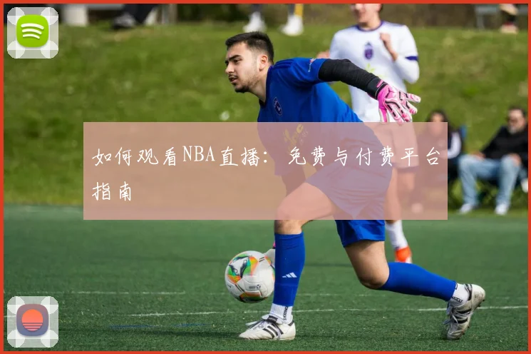 如何观看NBA直播：免费与付费平台指南