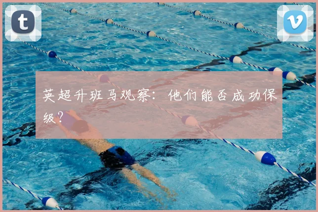 英超升班马观察：他们能否成功保级？