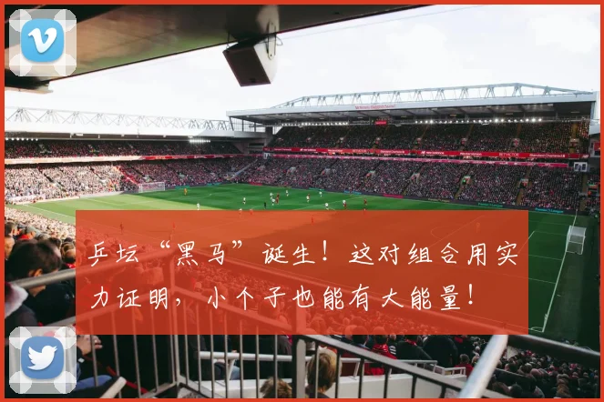 乒坛“黑马”诞生！这对组合用实力证明，小个子也能有大能量！