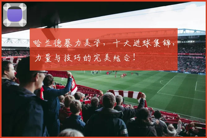 哈兰德暴力美学,十大进球集锦,力量与技巧的完美结合!