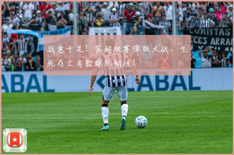战意十足!苏超联赛保级大战,生死存亡考验球队韧性!